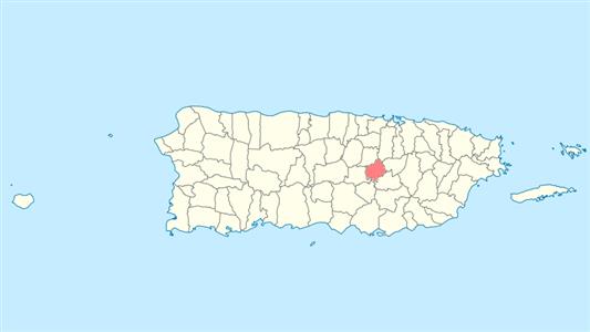 cuerda [Puerto Rico]